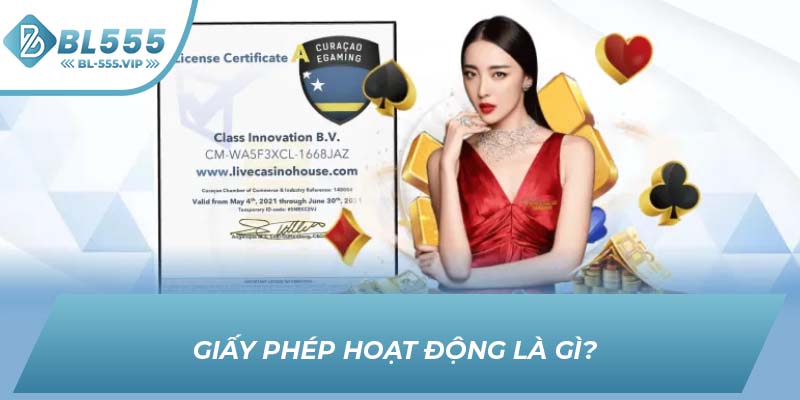 Giấy phép hoạt động là gì?